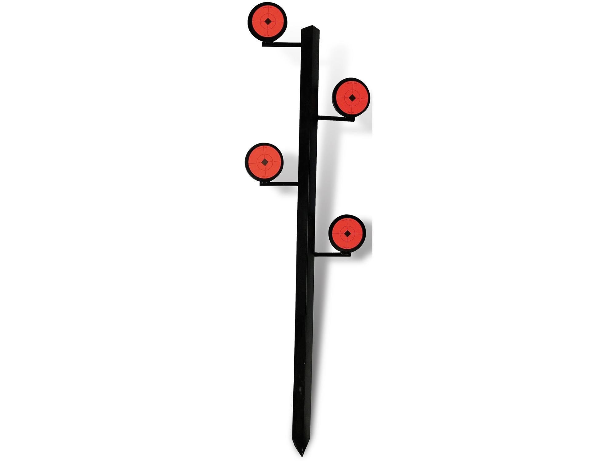 109531.jpg