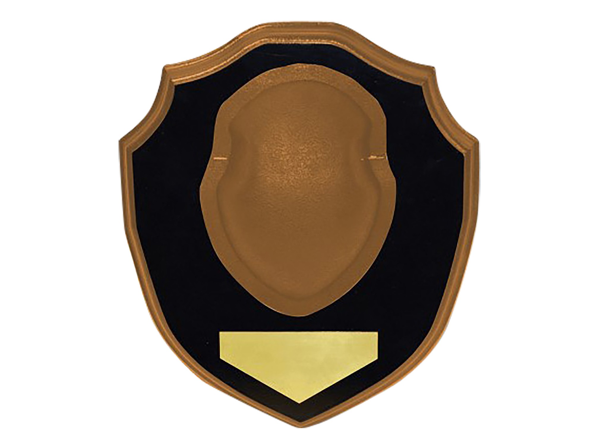 155355.jpg